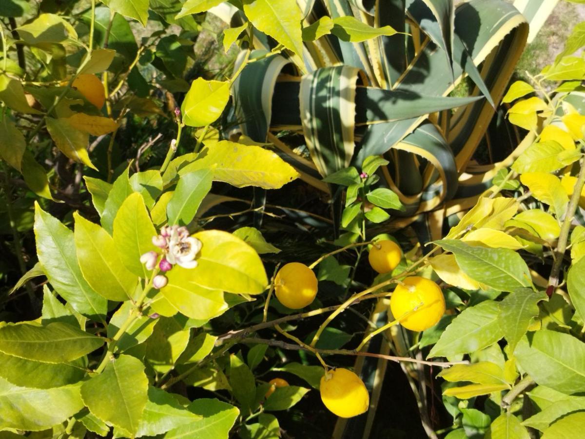 托尔博莱Casa Di Nin公寓 外观 照片