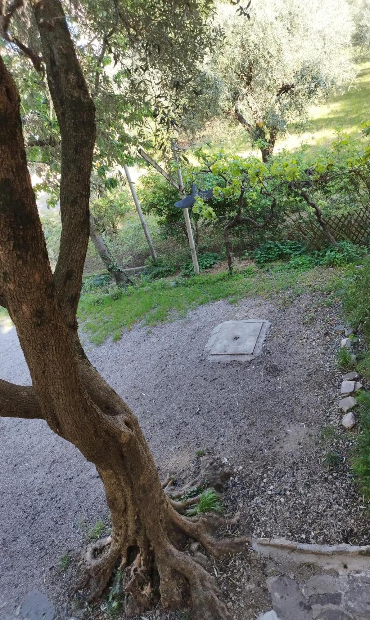 托尔博莱Casa Di Nin公寓 外观 照片